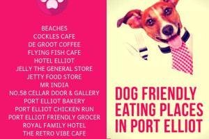 Dog Friendly Cafes